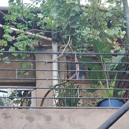2 Santeli Turn Guest House Tbilisi Esterno foto